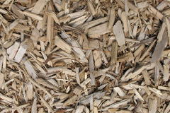 biomass boilers Bude
